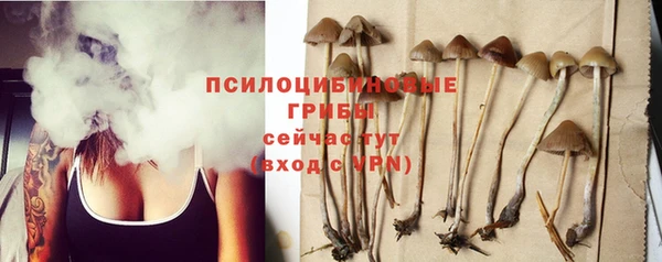 сатива Абинск