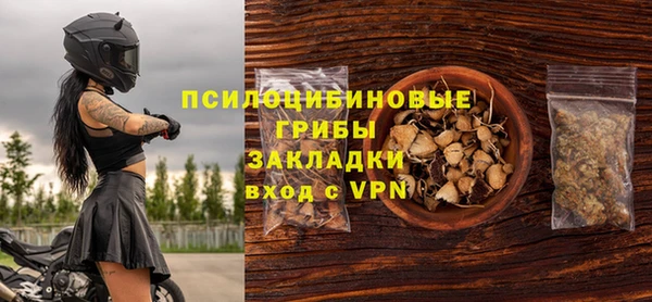 apvp Краснослободск