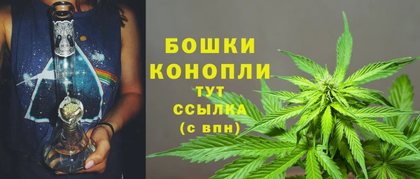 сатива Абинск