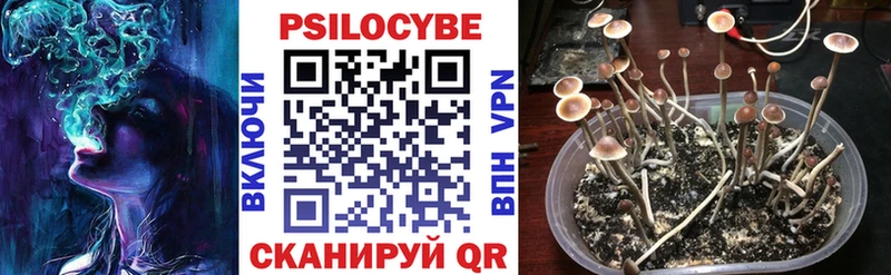 Галлюциногенные грибы MAGIC MUSHROOMS  даркнет сайт  KRAKEN ссылки  Королёв 
